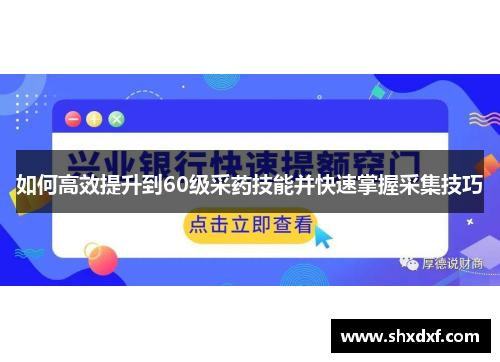 如何高效提升到60级采药技能并快速掌握采集技巧